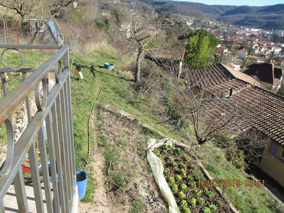 Maison De Vigne Renovee Saint-Affrique Kültér fotó